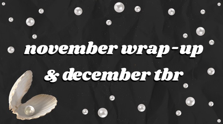 November Wrap-Up & December&nbsp;TBR